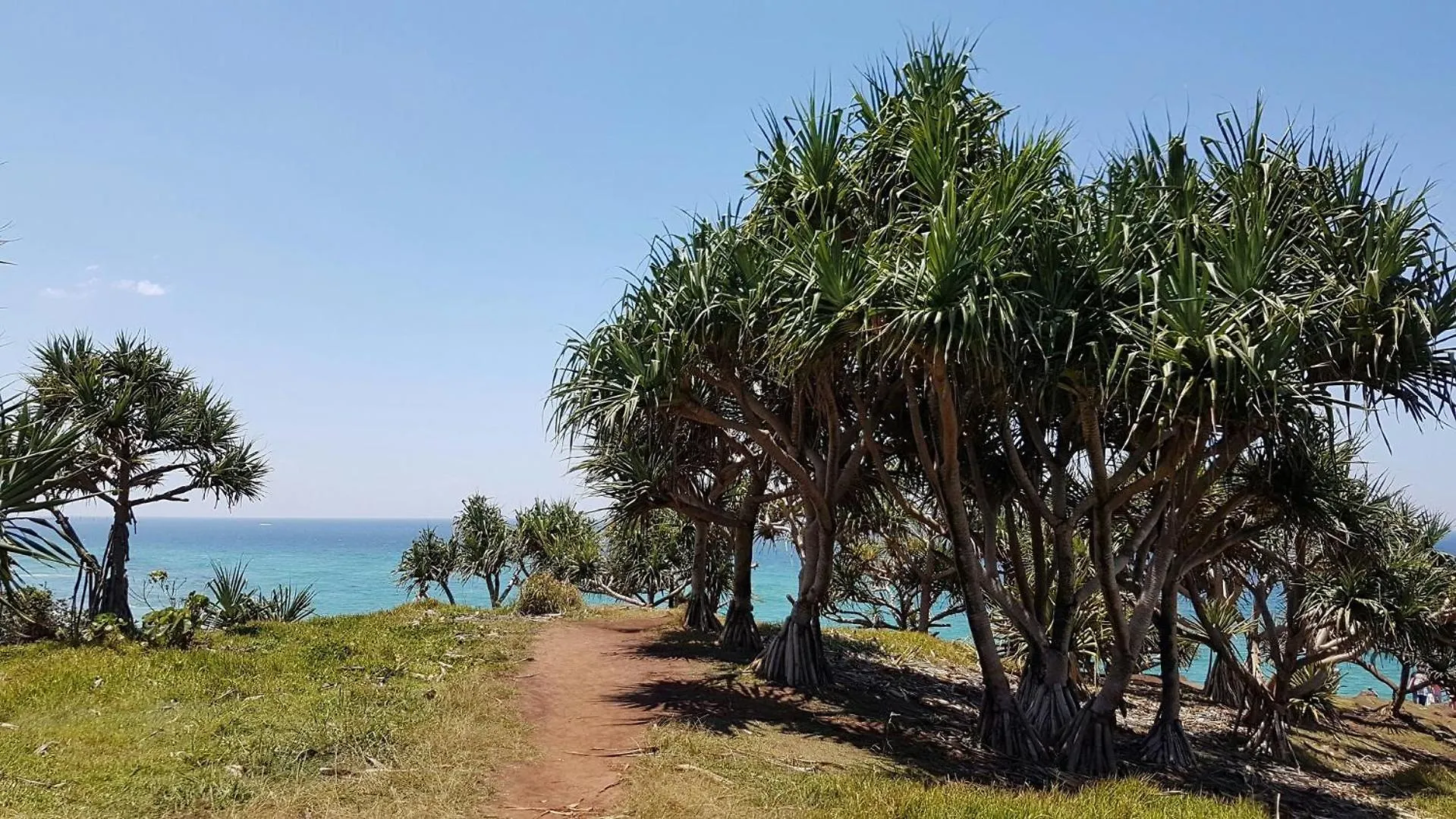 Waterfront Paradise Tweed Heads Australia